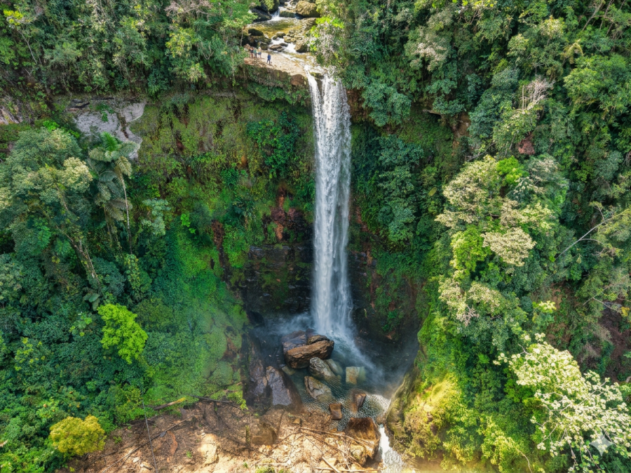 Explora Mocoa en Grupo: Una Travesía entre Cascadas y Sabiduría Ancestral